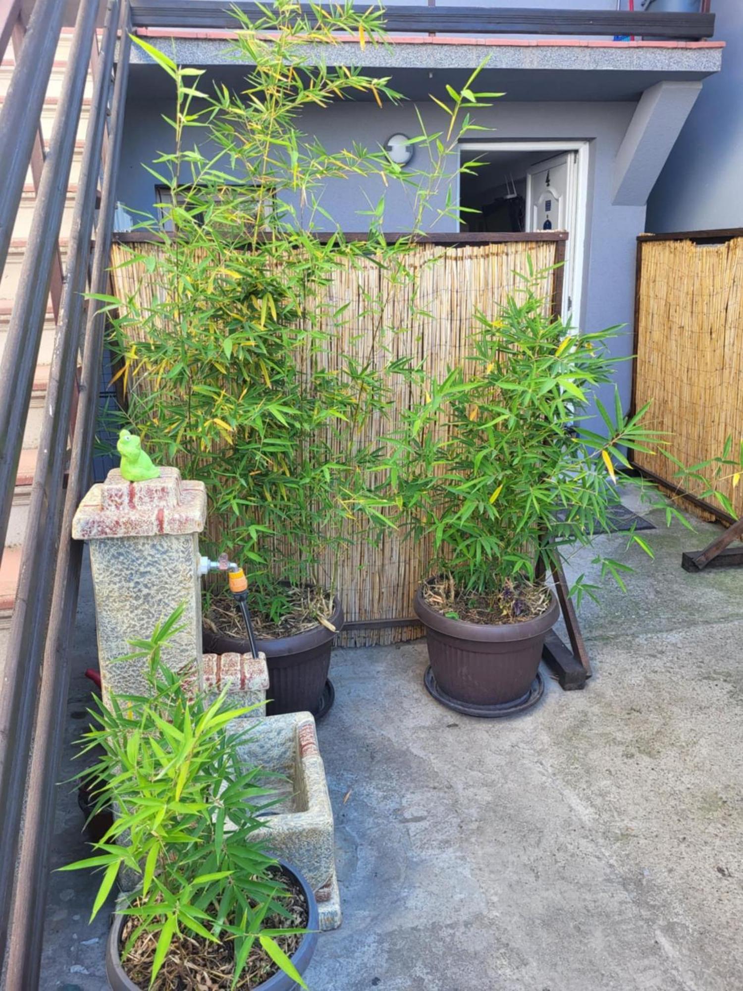 Apartman Djokic 2 Požarevac Exterior foto
